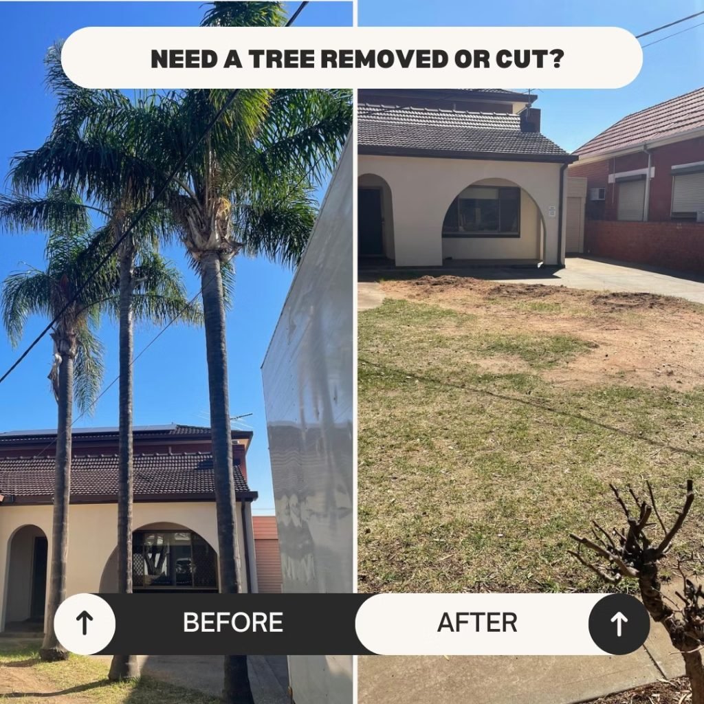 Cloud Tech Digital | Stress Free Trees