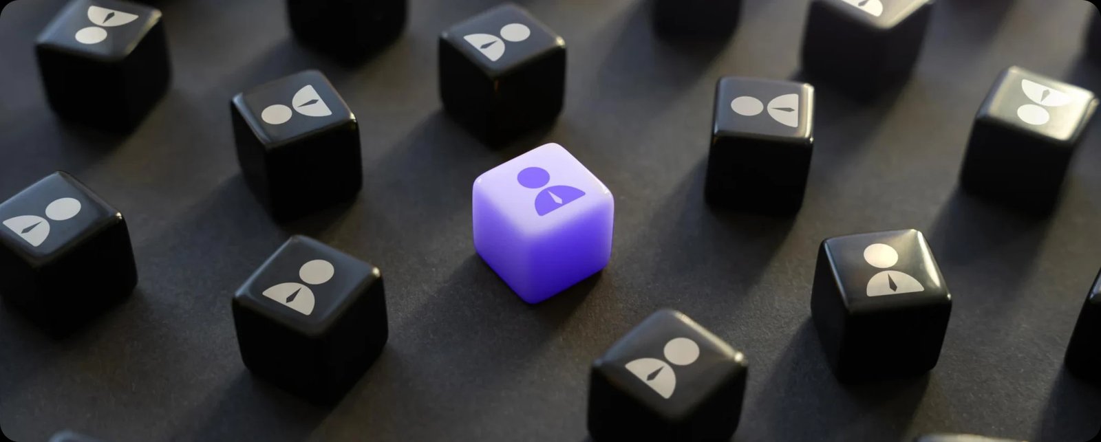 geotagged-osbran-team